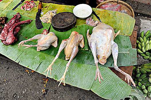 鸡,内脏食品,食物,市场,琅勃拉邦,老挝,东南亚