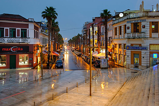 棕榈树,排列,小巷,城市,中心,阿尔巴尼亚,欧洲