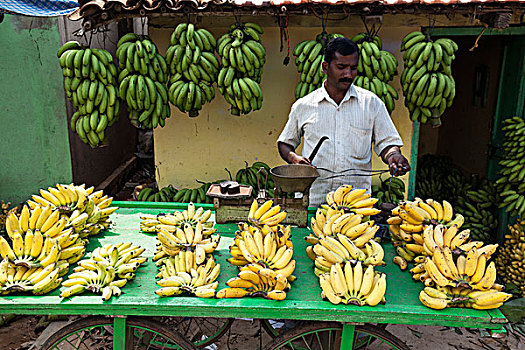香蕉,销售,印度南部,印度,亚洲