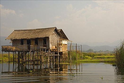 漂浮,乡村,茵莱湖,缅甸