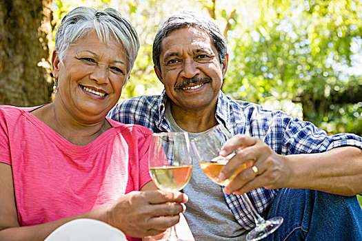 老年,夫妻,祝酒,葡萄酒杯,公园,头像