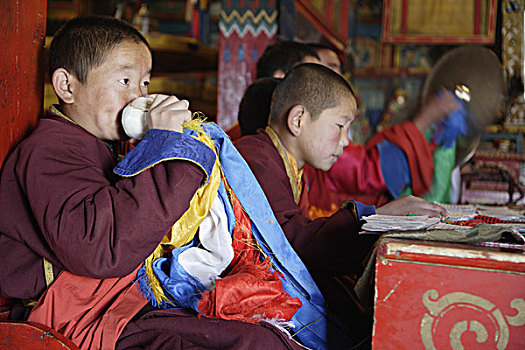 蒙古,寺院,学生,喇嘛