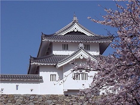 日本,城堡,春季