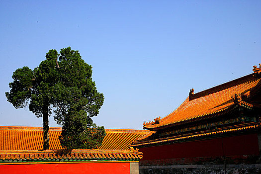 北京故宫博物院紫禁城坤宁门侧厢门