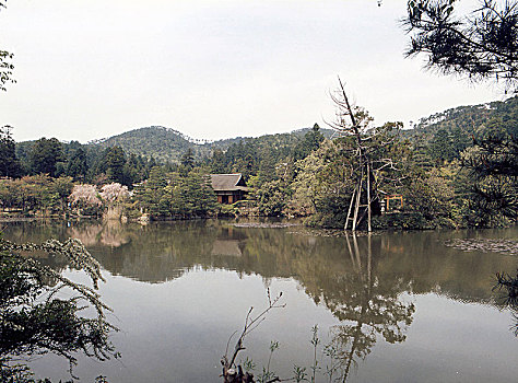 禅园,庙宇,京都