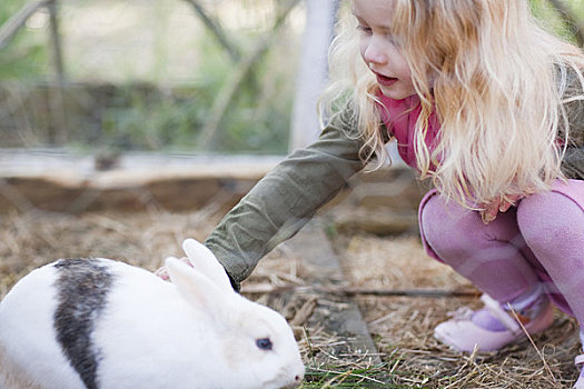 小女孩,蹲,抚摩,兔子