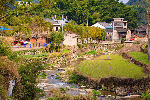 小溪,村庄,山村