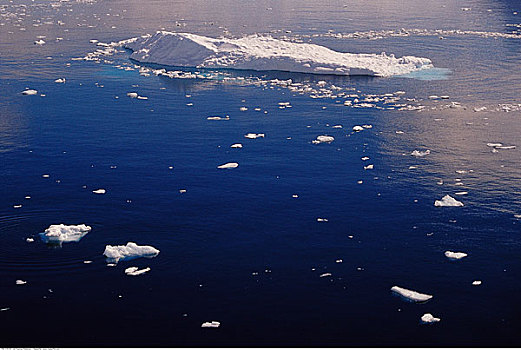 浮冰,南极半岛