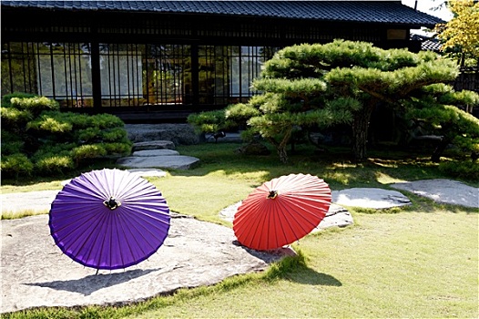 日式庭园,传统,伞