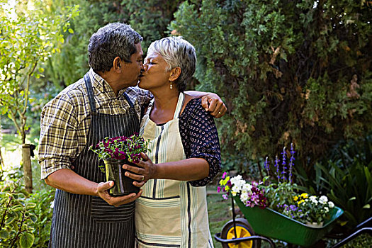 浪漫,老年,夫妻,吻,相互,花园
