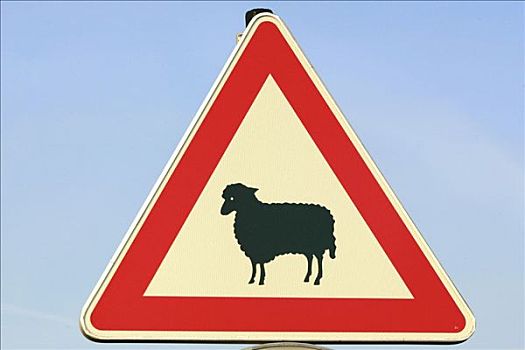 交通标志,绵羊,石荷州,德国