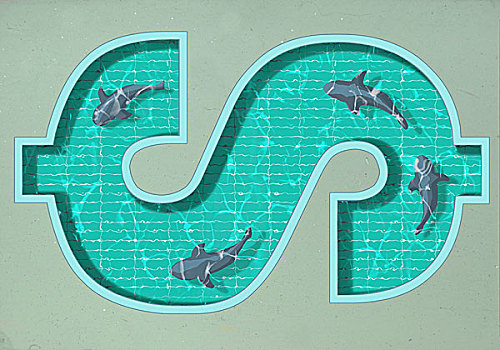 美元符号,形状,游泳池,四个,鲨鱼,游动