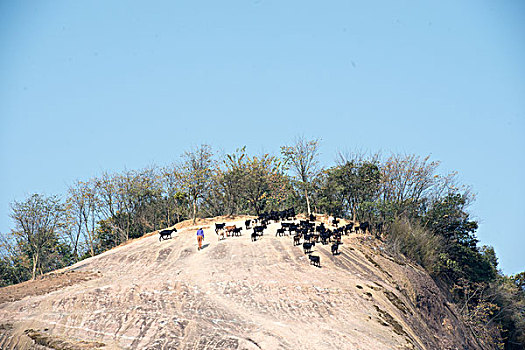 山,丹霞,驴友,黑山羊,放牧,蓝天,篱笆,栅栏,旅行,地质公园,丹霞地貌,灌木,树,草,水潭,素材,平面设计,质感