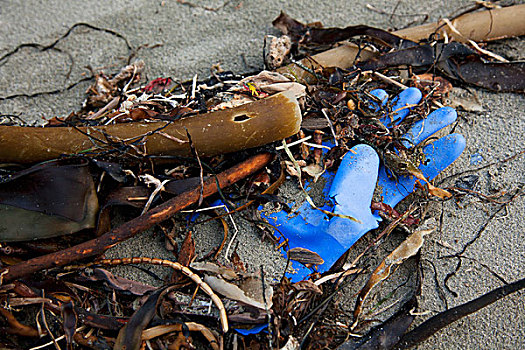 橡胶手套,碎片,海滩,营地,靠近,温哥华岛,不列颠哥伦比亚省,加拿大