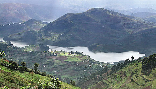 维龙加山,乌干达