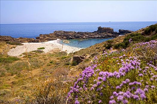 湾,靠近,伯罗奔尼撒半岛,希腊