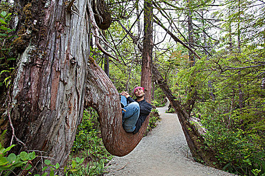 一个,男人,休息,大树,枝条,野外,太平洋,小路,温哥华岛,不列颠哥伦比亚省,加拿大