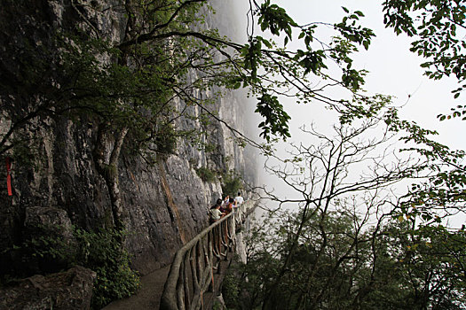 重庆南川,雨中金佛山云端栈道,与云雾起舞如仙如境