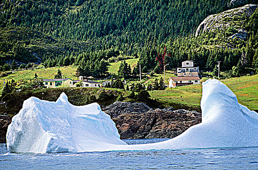 冰山,纽芬兰,加拿大