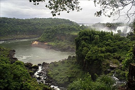 雨林,瀑布,伊瓜苏国家公园,伊瓜苏,巴西
