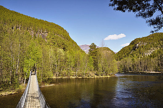 吊桥,国家公园,挪威