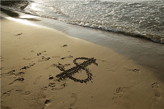 美元符号,沙滩