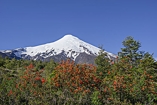 火山,正面,波多黎各,拉各斯,区域,智利,南美