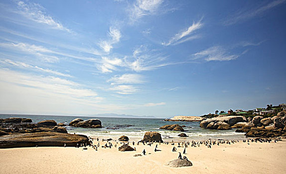 漂石,海滩,南非