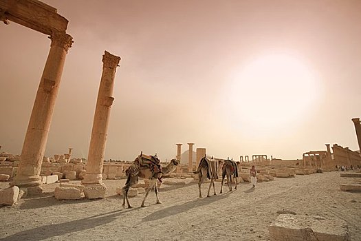 叙利亚,世界遗产,柱廊