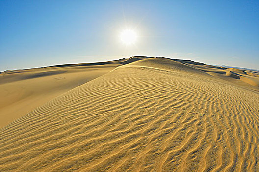 沙丘,太阳,利比亚沙漠,撒哈拉沙漠,埃及,非洲