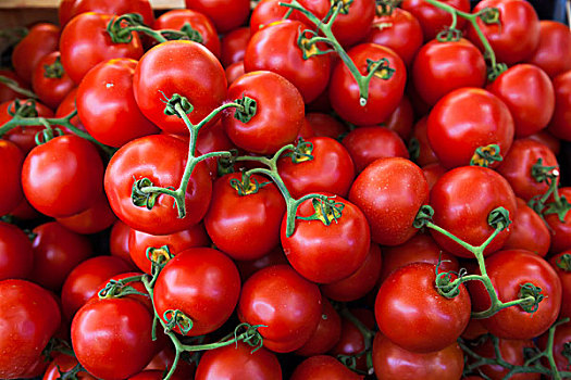 成熟,西红柿,藤蔓,市场