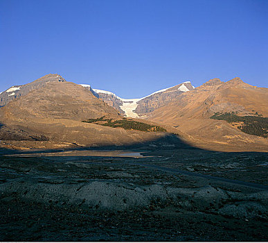 哥伦比亚,冰原,碧玉国家公园,艾伯塔省,加拿大