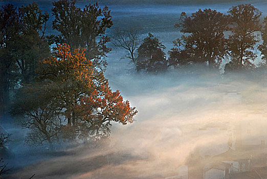 秋之雾