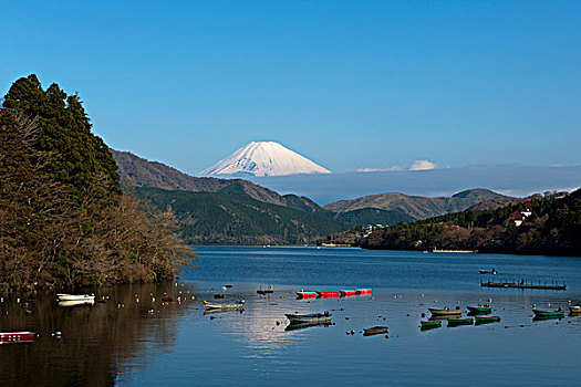 湖,山,富士山,老,东海道,道路