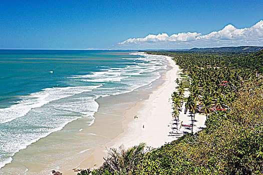 巴西,北方,海滩