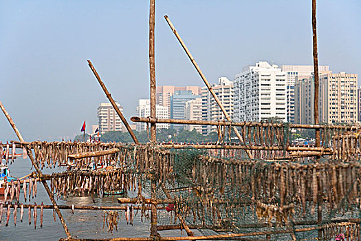 水岸,现代,高层建筑,远景,孟买,印度