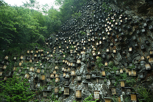 神农架,官门山,风景,景点,旅游,高山,瀑布,河流,神秘,树木,植被,野人,动物,标本,展览,雕塑,蜂箱,养蜂,蜜蜂