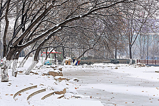 公园雪景