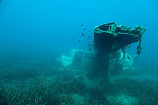 海底,厄尔巴岛,意大利