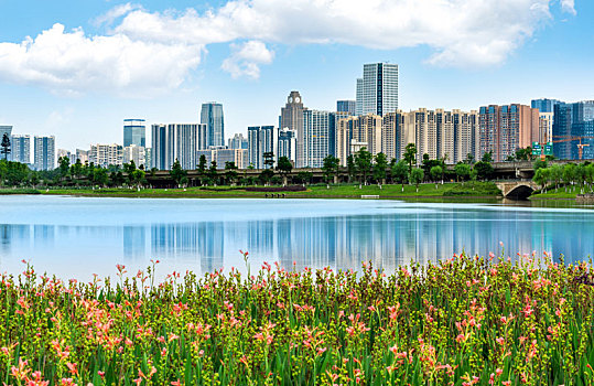 四川省成都市锦城湖公园周边建筑夏季风光