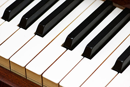 白色,黑色,按键,古典,钢琴