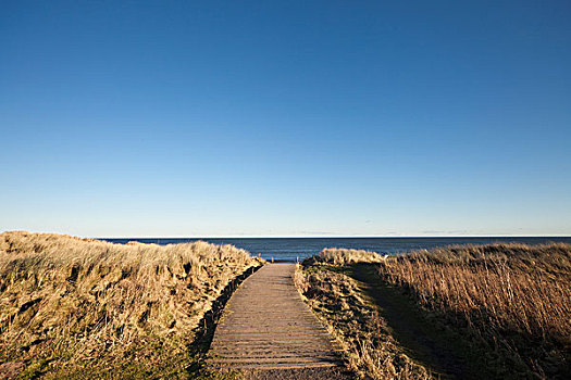 小路,海洋,湾,诺森伯兰郡,英格兰