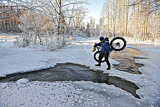 骑自行车,地表水流,溪流,雪,自行车,极北地区,公园,靠近,阿拉斯加,冬天