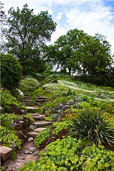 石头,楼梯,绿色,花园