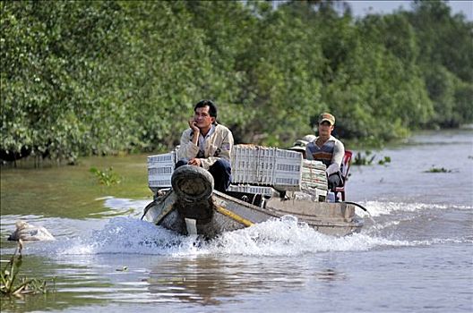 两个男人,骑,木质,市场,船,水道,湄公河,湄公河三角洲,越南,亚洲