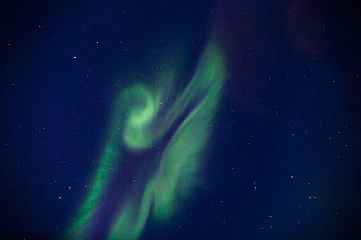 北极光,形状,天使,瓦普斯克国家公园,曼尼托巴,加拿大