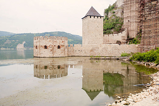 要塞,中世纪,牢固,城镇,塞尔维亚,欧洲