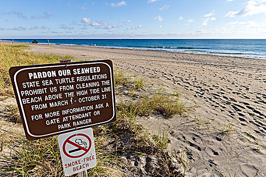 美国,佛罗里达,警告标识,海岸线,警告,海草,海洋,海龟,法律
