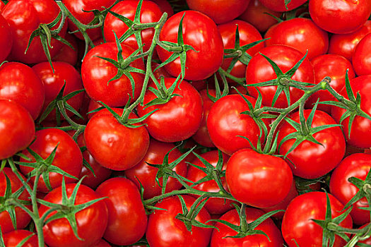 特写,西红柿,市场