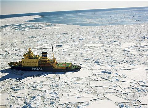 破冰船,操纵,浮冰,海岸,富兰克林,岛屿,南极